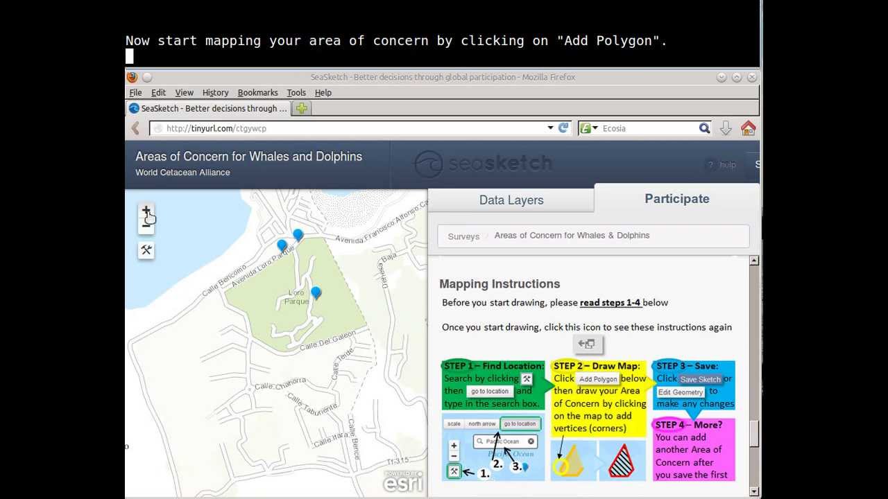 World Cetacean Alliance Mapping Tutorial