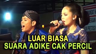 Percil Cs  Percil Pamer Suara Adike Sing Merdu Banget  Jan Syahdu Pol Lurd Wkwkwk