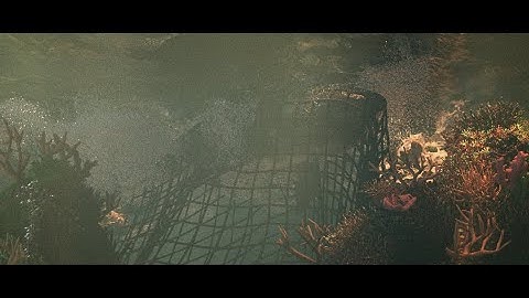 Houdini - Shark Bubbles Interaction