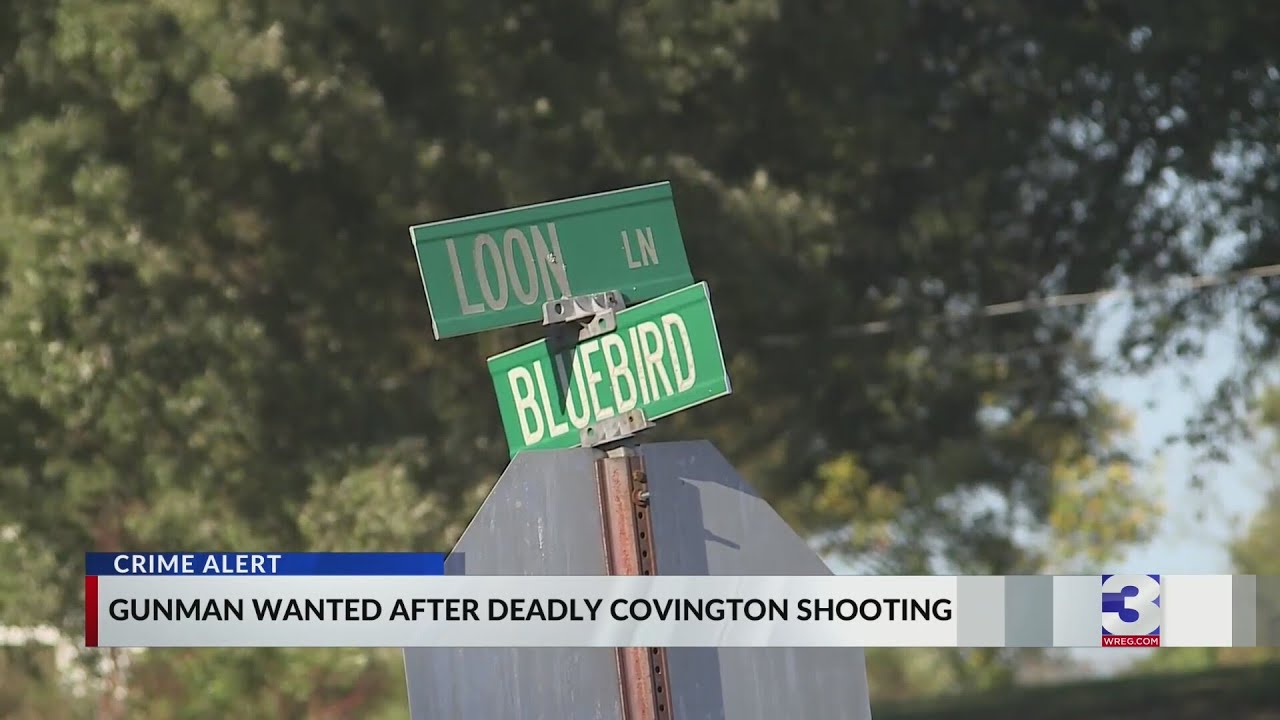 Man found shot to death in Covington - YouTube