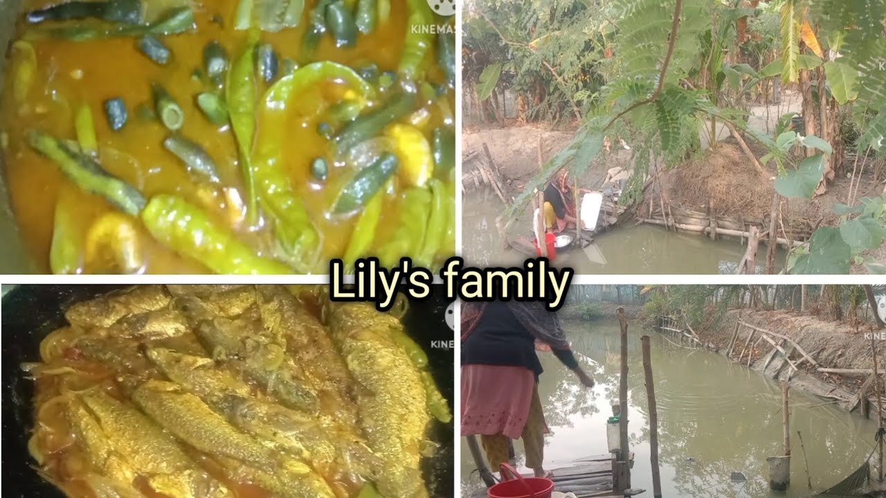 গ্রামের কর্মব্যস্ত সকাল# morning  routine