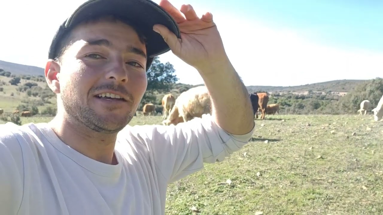 Qué maravilloso día de sol, Ayer hizo 2 años que empecé con el canal de YouTube Muchísimas Gracias😊 