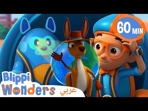 ارتفاع قفزة الكنغر🦘Learn about Kangaroos! | برنامج بليبي التعليمي | بليبي بالعربي