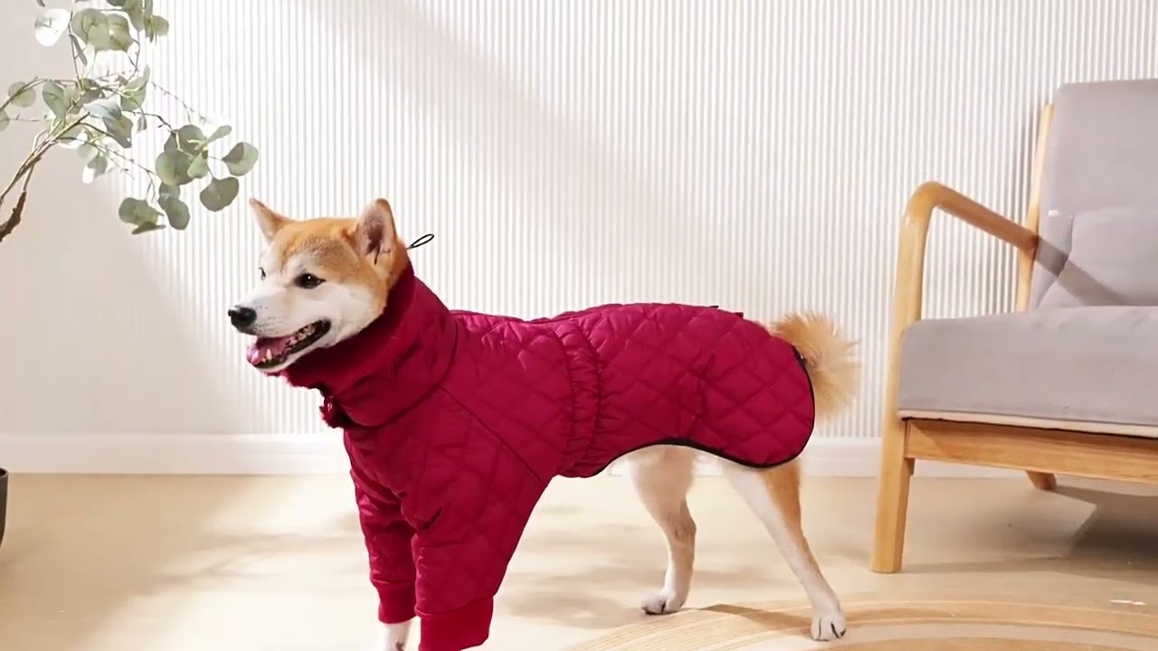 High neck dog winter coat, red and green options, idea for the Christmas time!