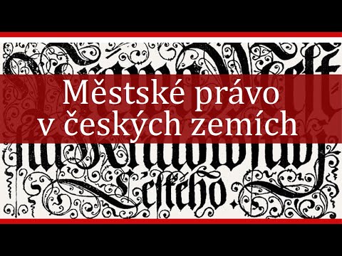 Video: Různé Výzvy, Různé Přístupy A Související Výdaje Komunitních Tuberkulózních Aktivit Mezinárodními Nevládními Organizacemi V Myanmaru