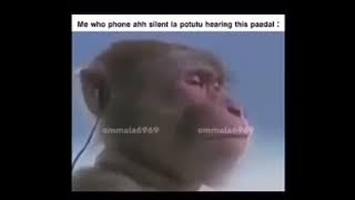 Thoothukudi kothanar song