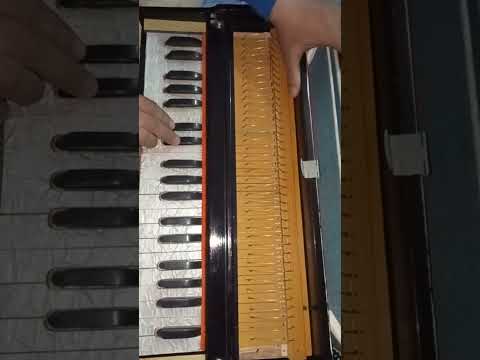 Been Bajata Ja Sapera Been Bajata Ja lahra Dhun Harmonium tutorial Nagin lahra doodh ka karz #music
