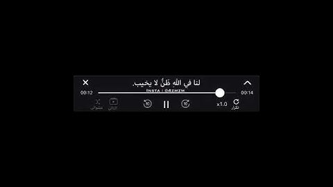 إِلَّا الَّذِينَ صَبَرُوا وَعَمِلُوا الصَّالِحَاتِ.. القارئ ماهر المعيقلي ، سورة هود