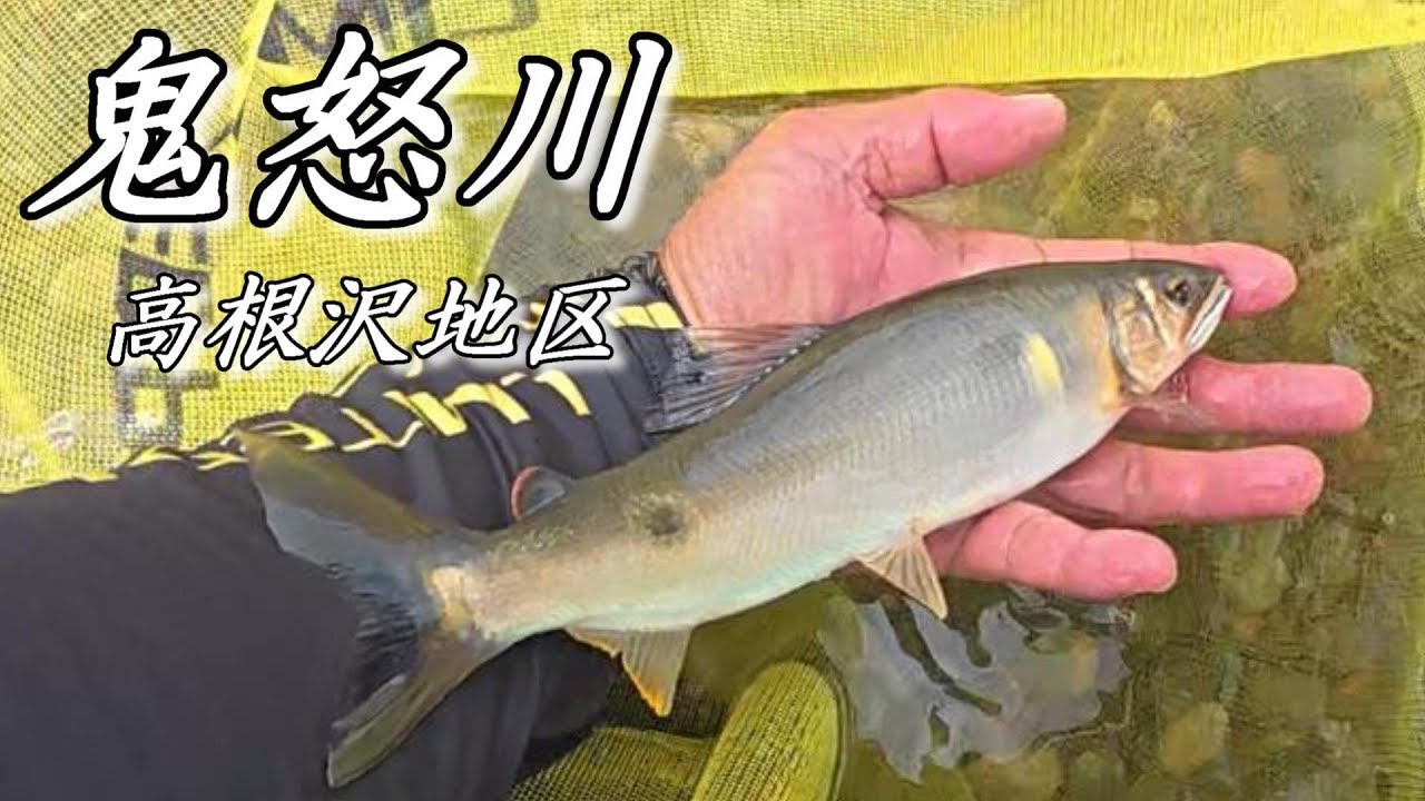 【鮎釣り】鬼怒川 高根沢地区