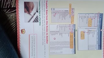 File Management- organization of data...class 6th chapter 2