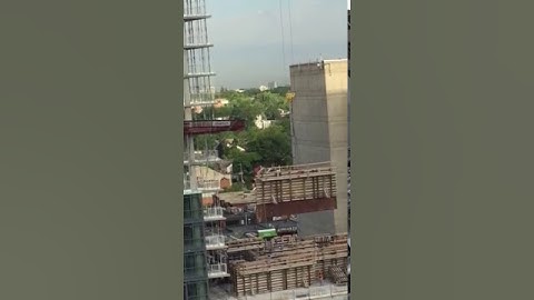 Fly Forms (by a 6 yr old)