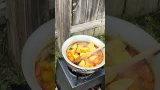 Backyard Bonfire Bliss: Cooking Shrimp Curry with Mom!