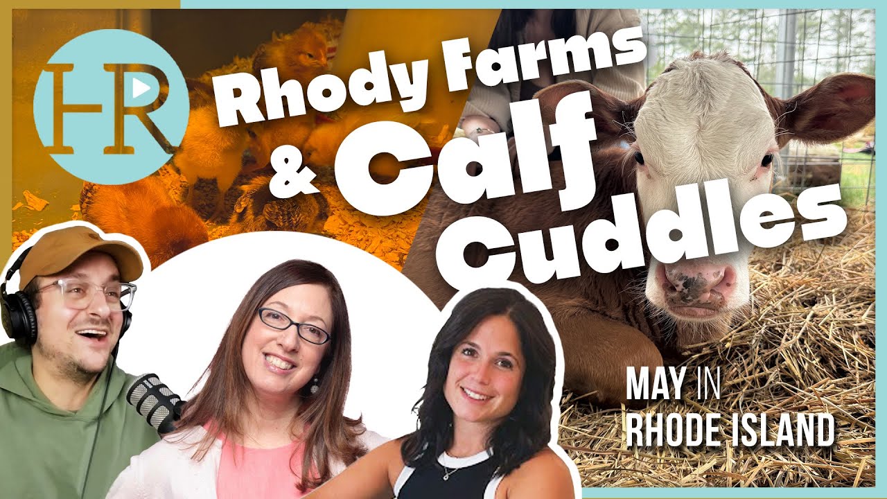 Calf Cuddles & Rhody Farms! | Hey Rhody Weekly (May 8) - YouTube
