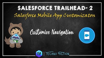 Customize Navigation | Salesforce Mobile App Customization | Techno Fiction