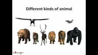 Science - Types of Animals - Telugu - YouTube