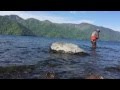 中禅寺湖 レイクトラウト フライフィッシング