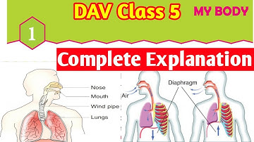 My Body|DAV Class 5 Science Chapter 1 Explanation|Study With Deep|@CollectionOfStudy|