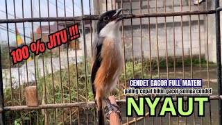 cendet gacor BONGKAR EMOSI PALING HANDAL PANCINGAN CENDET AGAR BUNYI bikin BURUNG PENTET GACOR AKTIF