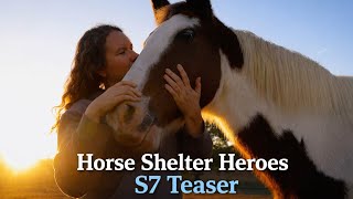 Horse Shelter Heroes Season 7 Teaser