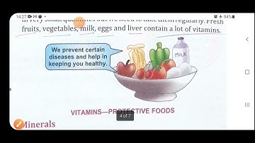 Food and digestion, class 4 ,Science
