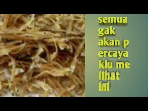 Masa Simpan Ikan Teri