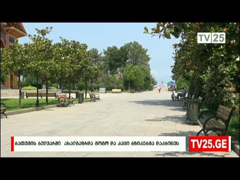 ბათუმის ბულვარში ახალგაზრდა გოგო და კაცი ბზიკებმა დაკბინეს