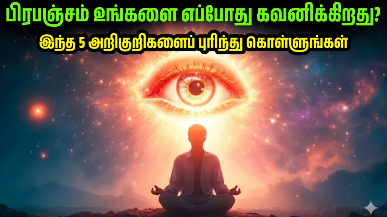 பிரபஞ்சம் உங்கள் விருப்பங்களை எப்போது, ​​எப்படி நிறைவேற்றுகிறது?