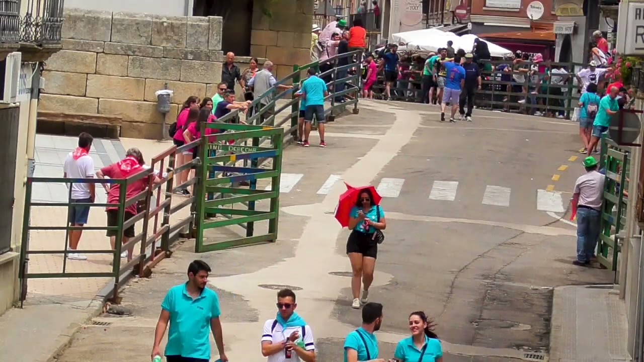 Villa de Vitigudino • Fiestas • Corpus • 2022 (02)