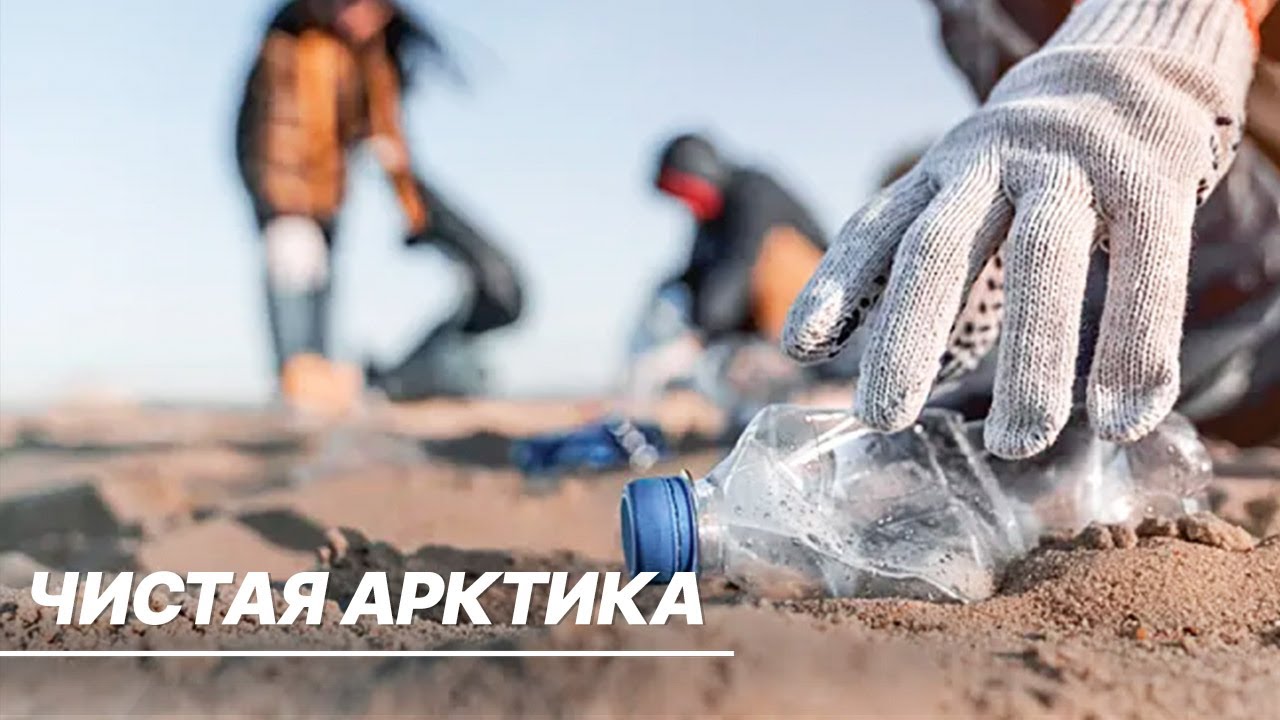 Более 5 тонн пластикового мусора вывезли российские волонтеры с берегов двух морей Арктики
