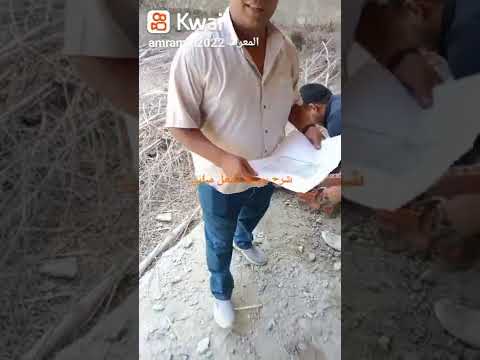 يوميات عمرو في الفيلا الضحكه الحلو شرح بسيط لشغل مباني