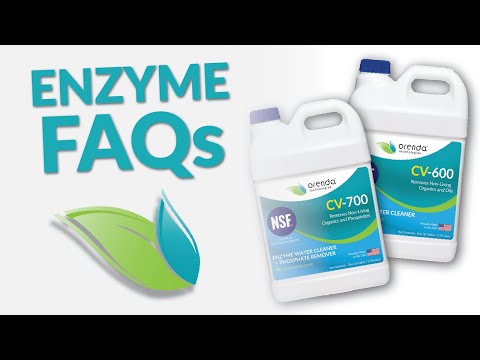 How to use CV-600/CV-700 Enzymes | Rule 