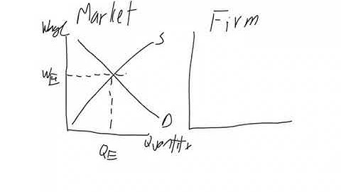 Unit 5 Perfect Competition