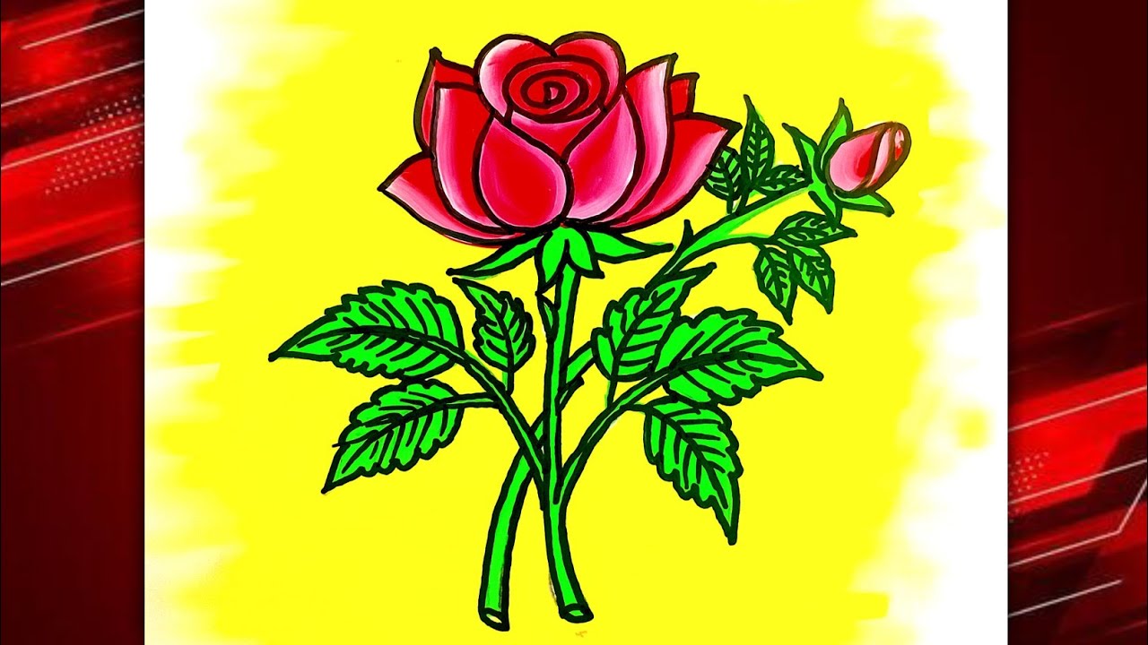 How to drawing rose easy | draw rose flower with pencil colour paint| गुलाब का फूल.