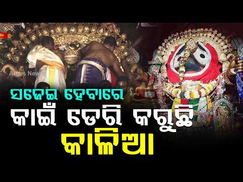 ସଜେଇ ହେବାରେ କାଇଁ ଡେରି କରୁଛି | Suna Besha 2026 | Suna Besa | Rath Yatra 2026 | Rath Jatra | ArgusNews