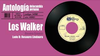 Video thumbnail of "LOS WALKER - Rosaura lindaura / Disco de Vinilo 45RPM | Cumbia"
