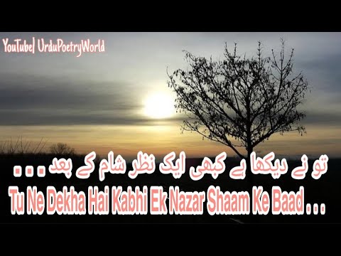 Tu Ne Dekha Hai Kabhi Ek Nazar Shaam Ke Baad | Farhat Abbas Shah | Urdu Poetry