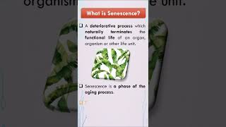 What is Senescence? | #biology | #shorts | #neet