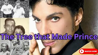 Prince's Heritage and Family Tree - His Momma's Not White?