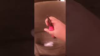 Ayam Dan ,Daging,Babek,Ajing,Kucing,Bobabibo,Dan Lainnya Yaguys