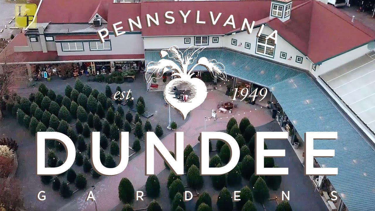 Dundee Gardens An inside look at a local business YouTube