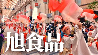 【創業100年】旭食品 | 高知よさこい祭り | 2023年