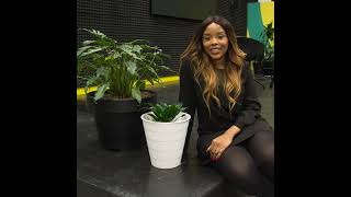 London Village Diaries With Dayo Akinrinade of Africlick Part 1 - Working in tech while black