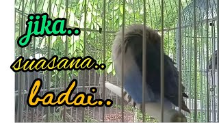 Download Lagu Jika Suasana Badai Hujan 🌧🌧 MP3