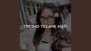 Inst - Tresno Tekane Mati Mengkane