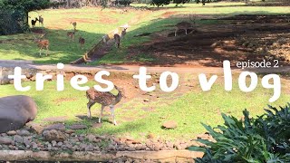 one fine day at the park ☀️ | tries to vlog