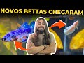 Chegaram meus 3 peixes bettas mr betta