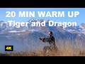 20 min tai chi warm up stretching and joints mobility exercises withtiger and dragon