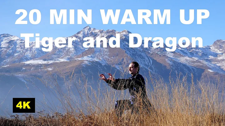 20 MIN TAI CHI WARM UP, STRETCHING and JOINTS MOBILITY EXERCISES WithTiger and Dragon