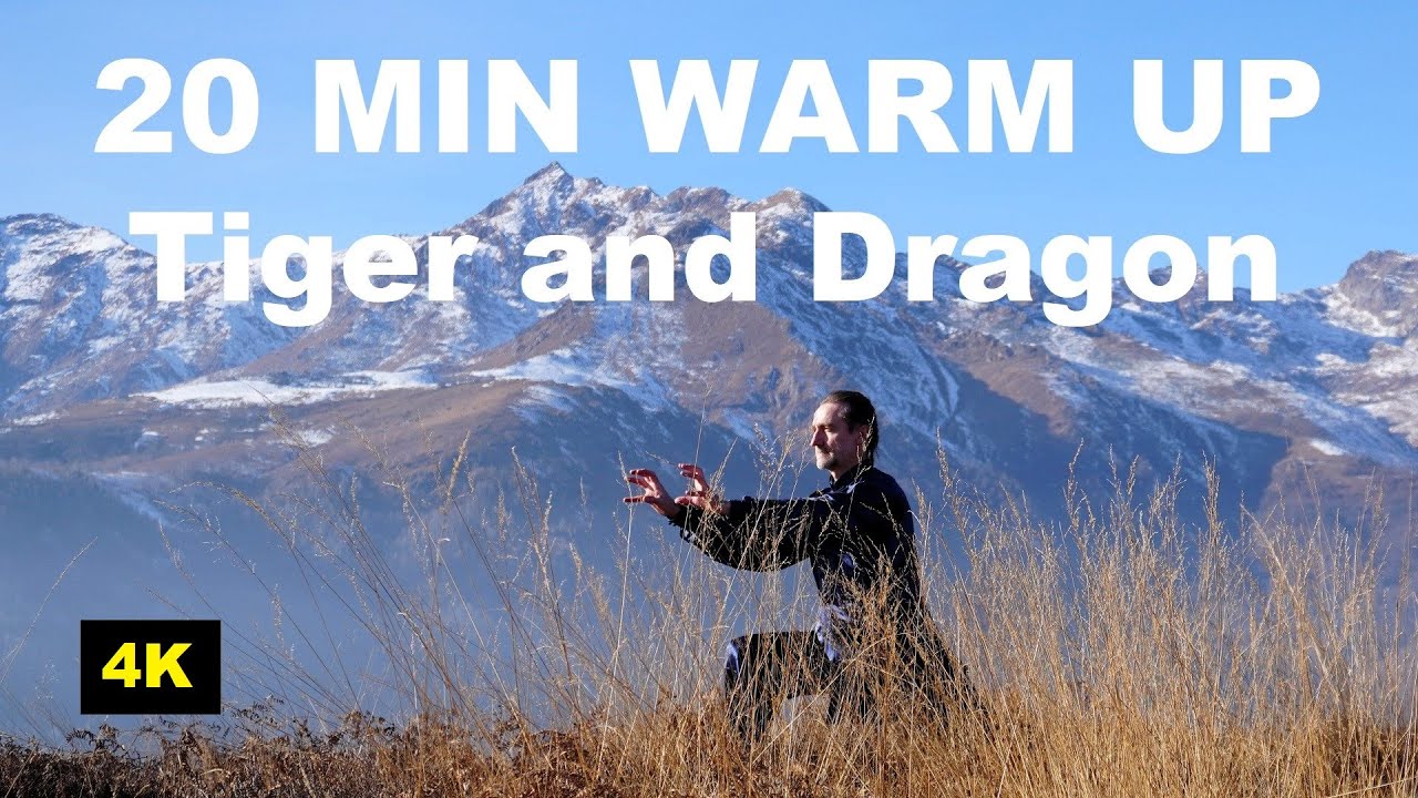 20 MIN TAI CHI WARM UP, STRETCHING and JOINTS MOBILITY EXERCISES WithTiger and Dragon