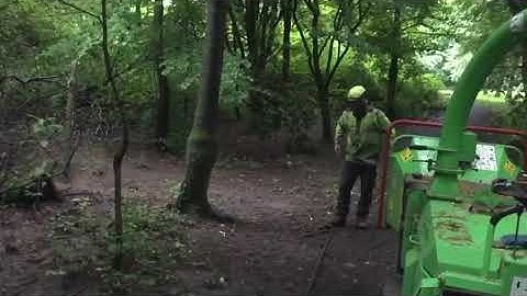 Stupid Apprentice vs Tree